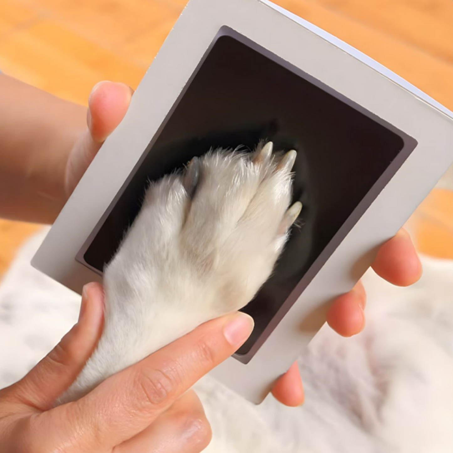 AtoFrame – Pawprint Memory Frame