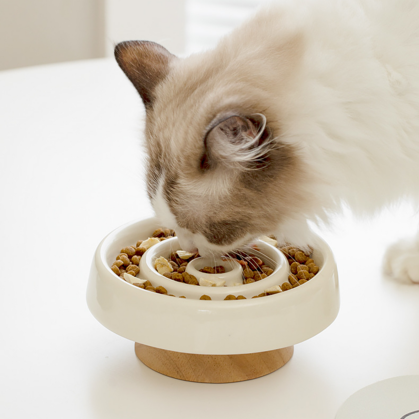 Mizunami Bowl™ – Slow Feeder with Solid Wood Base