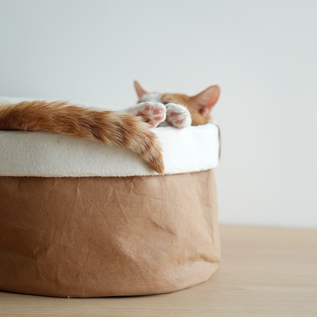 NemuBed – The Kraft Paper Cat Bed Inspired by Paper Bags