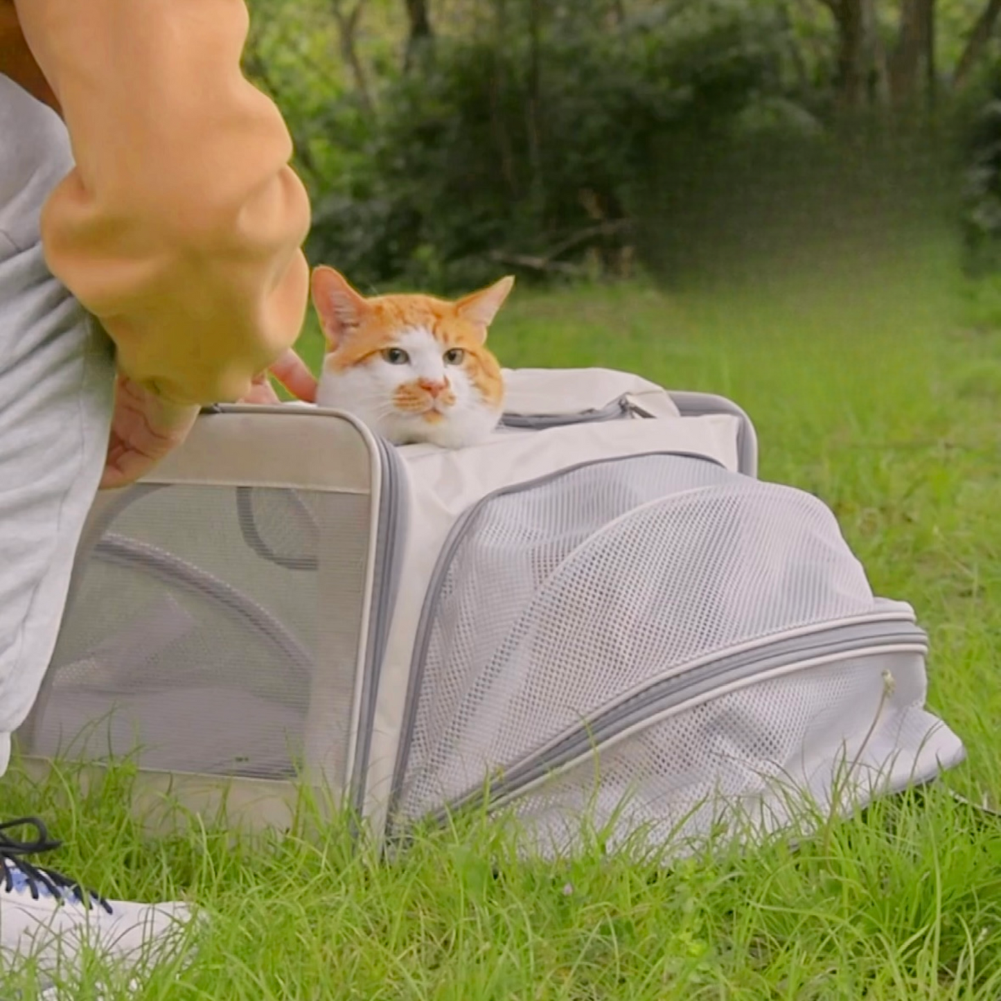 TofuTote™ – Foldable Pet Carrier Bag