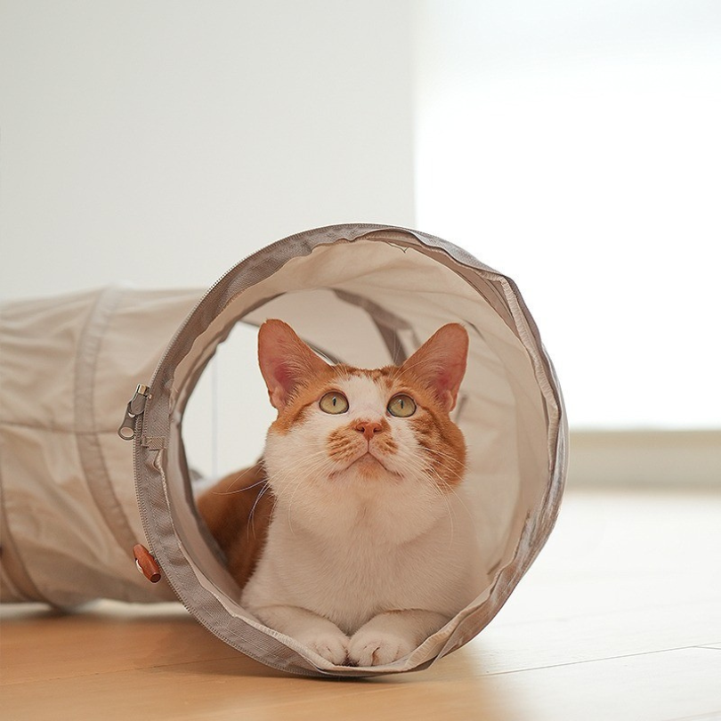 YukiTunnel
