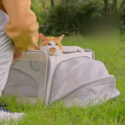 TofuTote™ – Foldable Pet Carrier Bag
